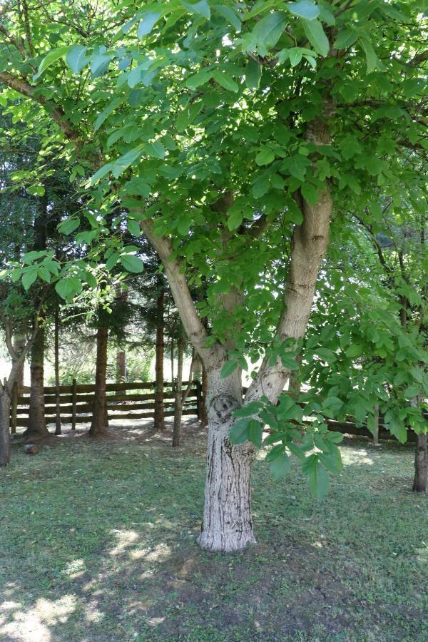 Holiday Home "Iris" Near Plitvice Lakes Rudanovac Kültér fotó