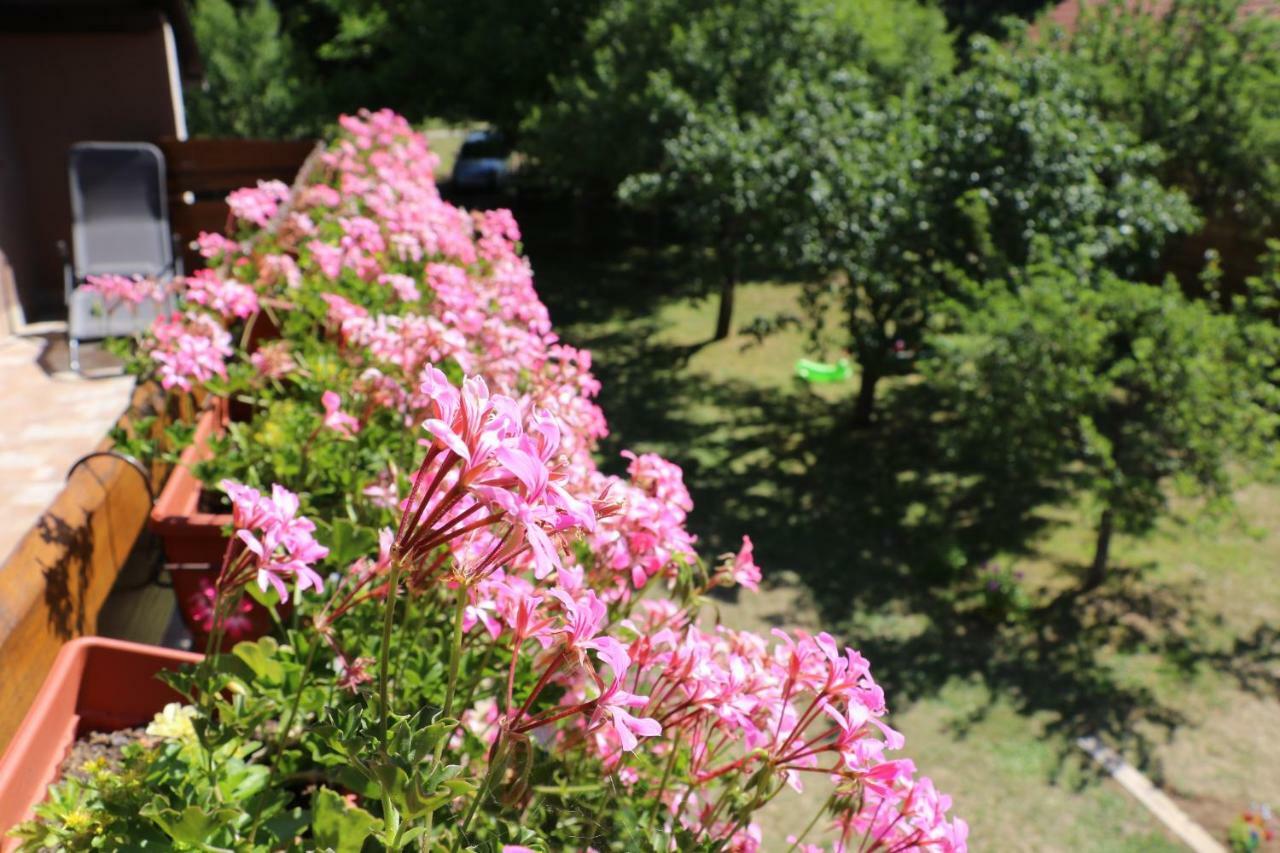 Holiday Home "Iris" Near Plitvice Lakes Rudanovac Kültér fotó